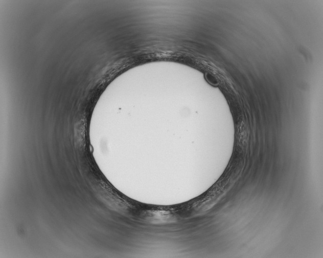 X0000110900509200907091418