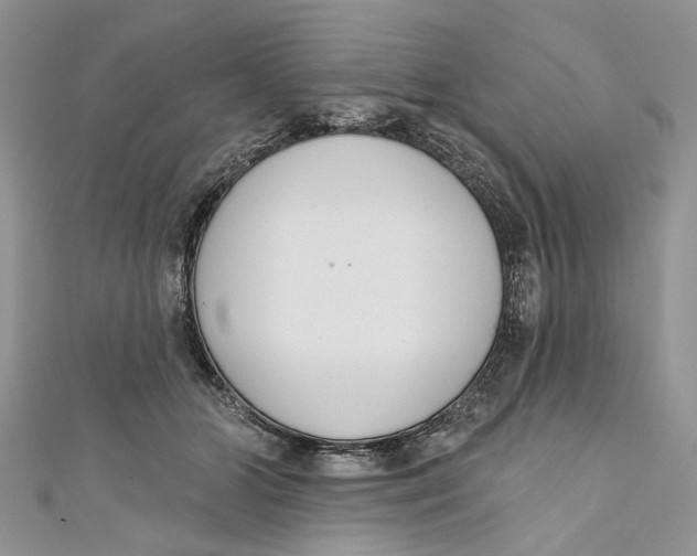 X0000110900510200907091418