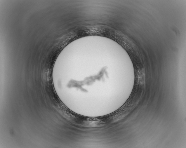 X0000110900514200907091418