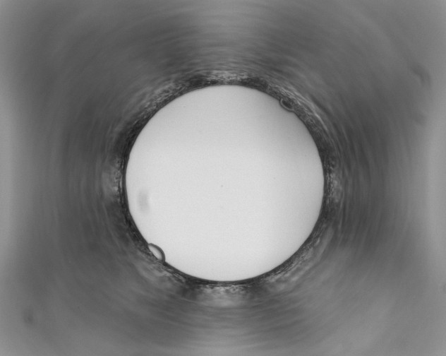 X0000110900517200907091418