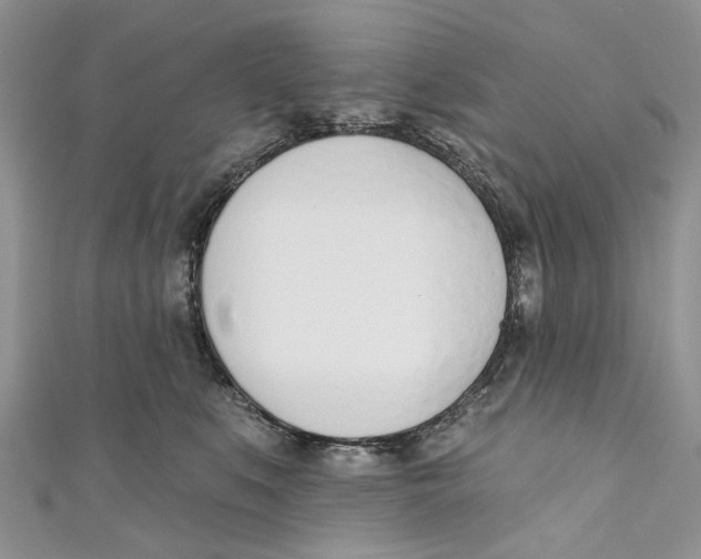 X0000110900519200907091418