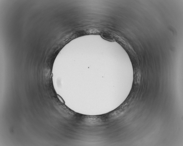 X0000110900521200907091418