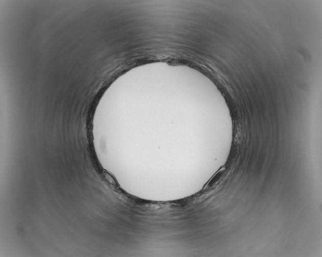 X0000110900524200907091418