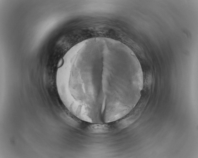 X0000110900526200907091418