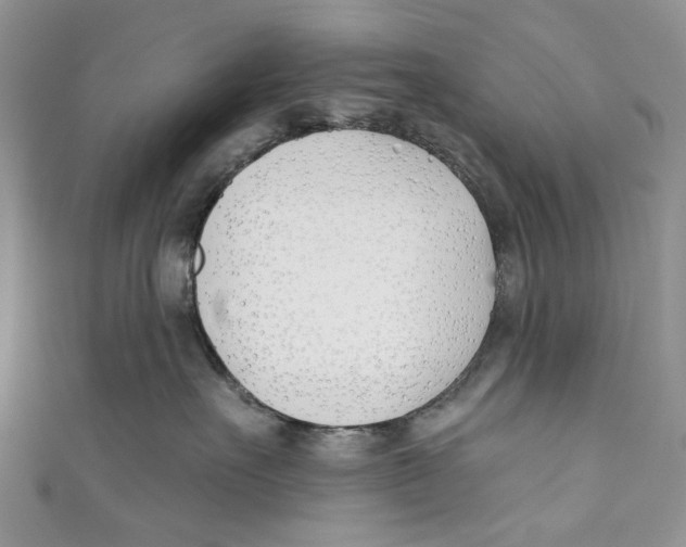 X0000110900527200907091418