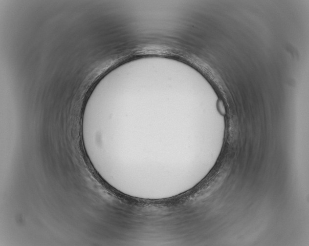 X0000110900529200907091418