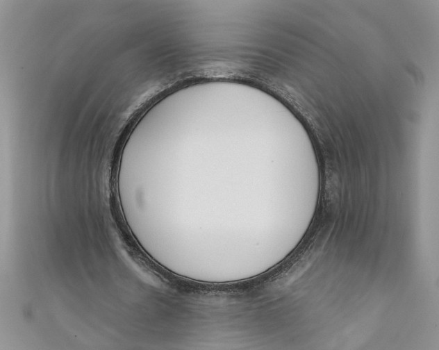 X0000110900530200907091418