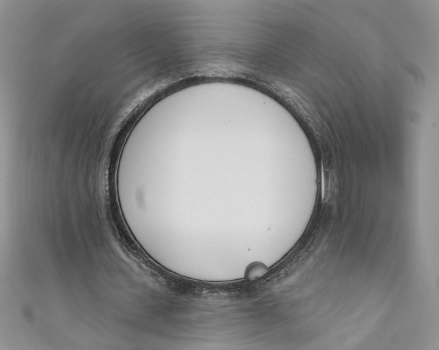 X0000110900531200907091418