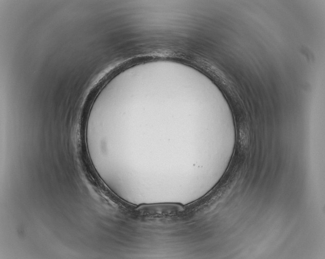 X0000110900532200907091418