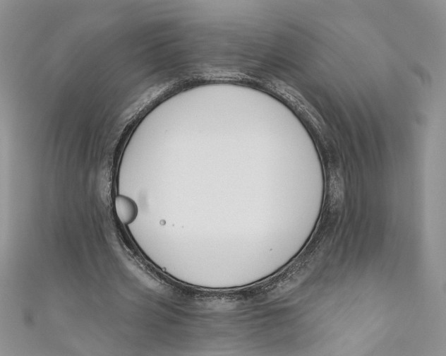 X0000110900533200907091418