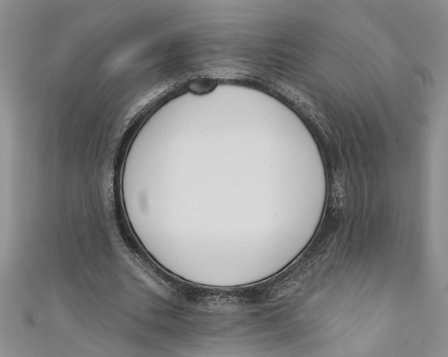 X0000110900535200907091418