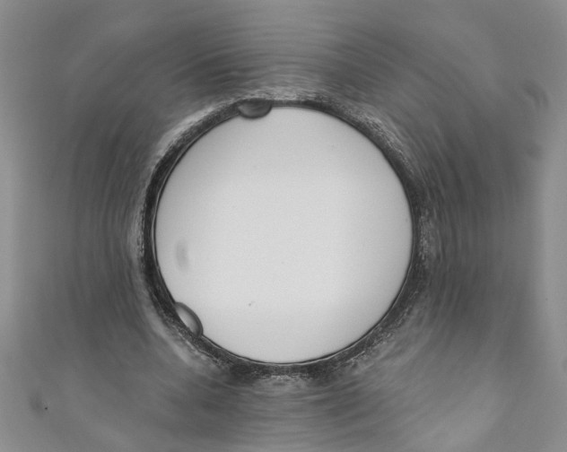 X0000110900536200907091418