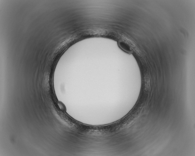 X0000110900538200907091418