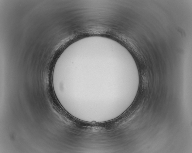 X0000110900539200907091418