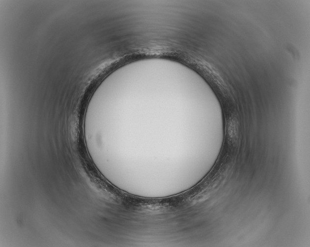 X0000110900540200907091418