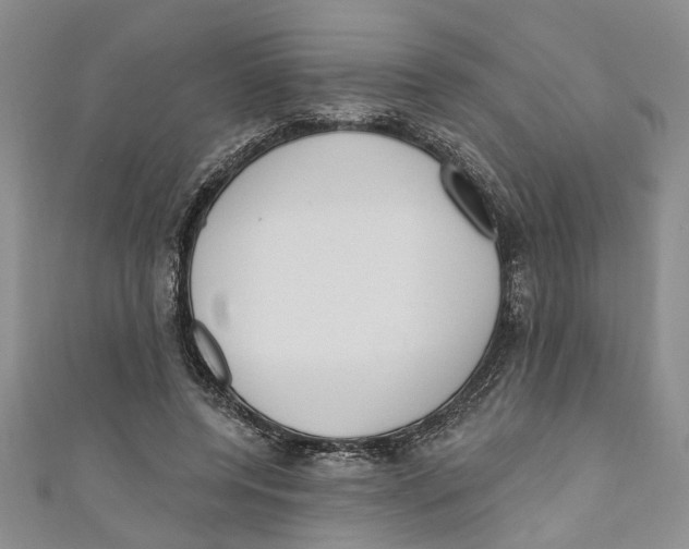 X0000110900544200907091418