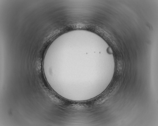 X0000110900545200907091418