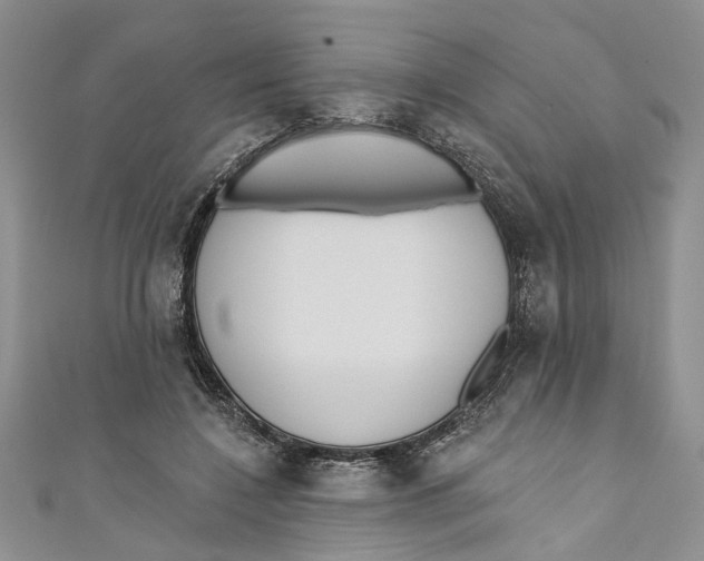 X0000110900548200907091418