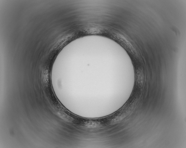 X0000110900549200907091418