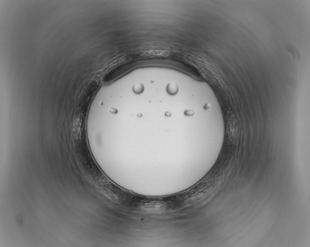 X0000110900551200907091418