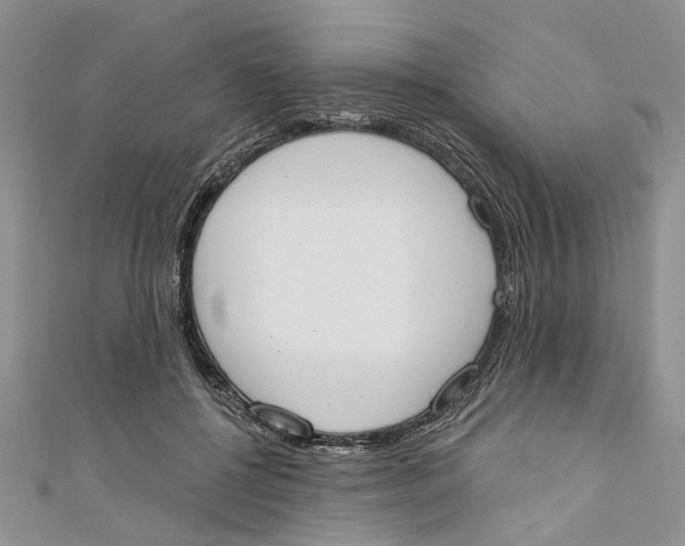 X0000110900552200907091418