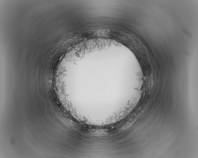 X0000110900553200907091418