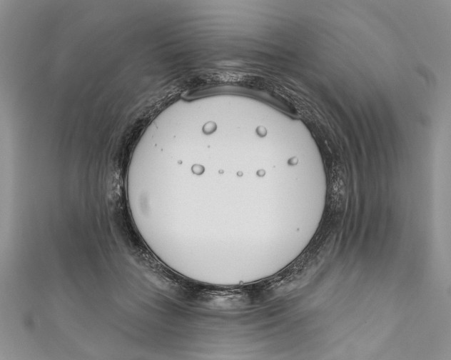 X0000110900555200907091418