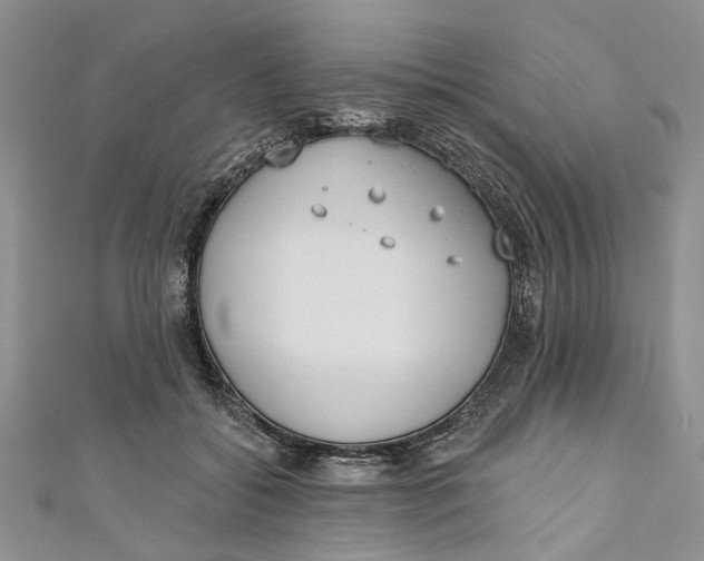 X0000110900556200907091418