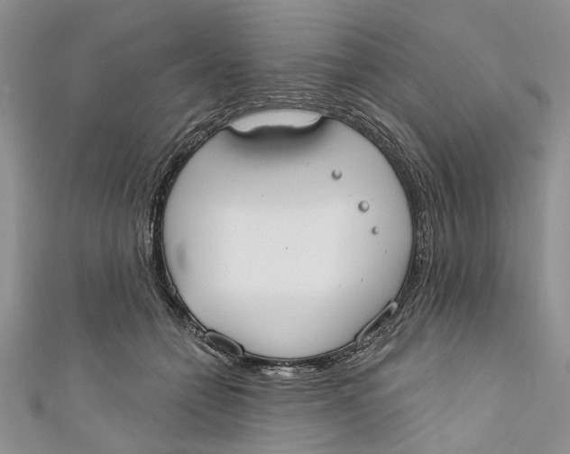 X0000110900558200907091418