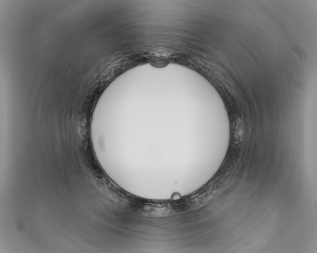 X0000110900559200907091418