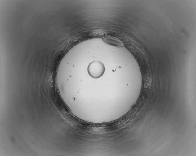 X0000110900560200907091418