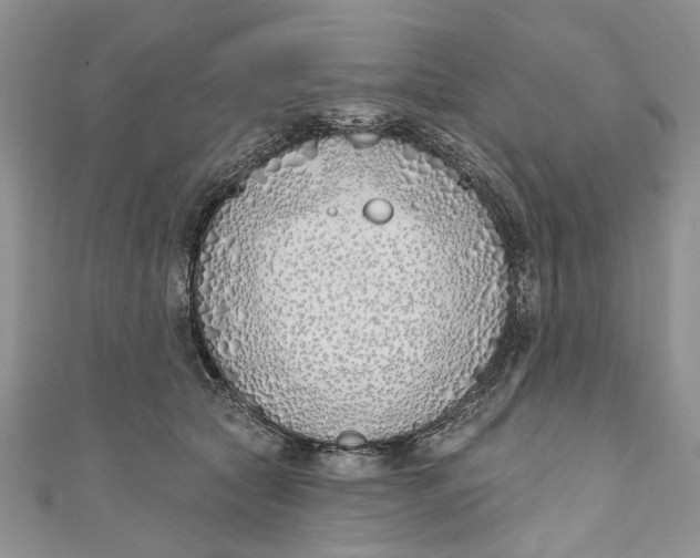 X0000110900561200907091418