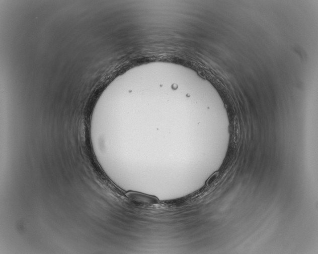 X0000110900562200907091418