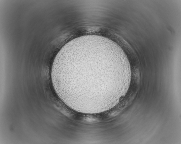 X0000110900565200907091418