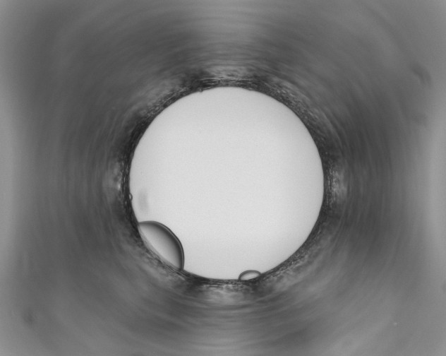 X0000110900567200907091418