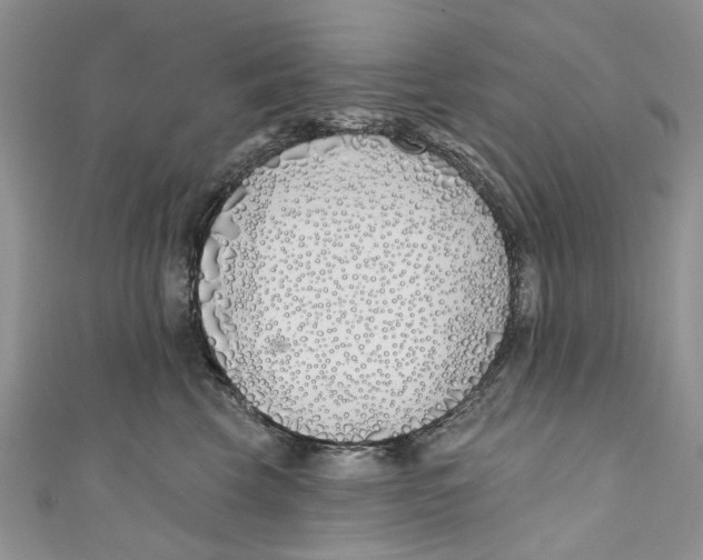 X0000110900569200907091418