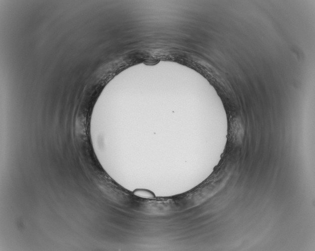 X0000110900571200907091418