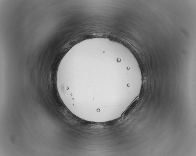 X0000110900572200907091418