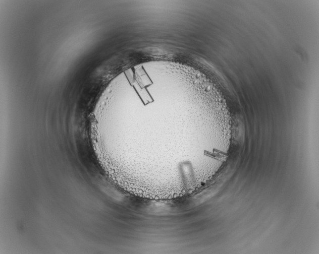 X0000110900573200907091418