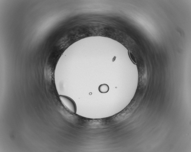 X0000110900574200907091418