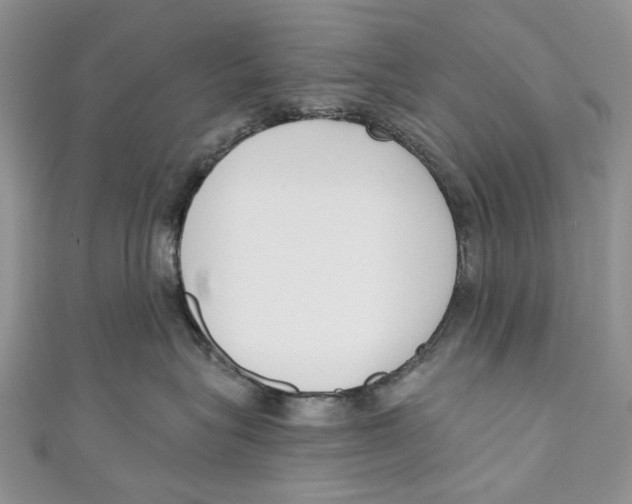 X0000110900575200907091418