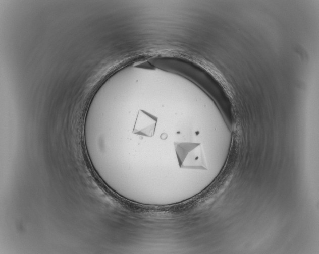 X0000110900577200907091418