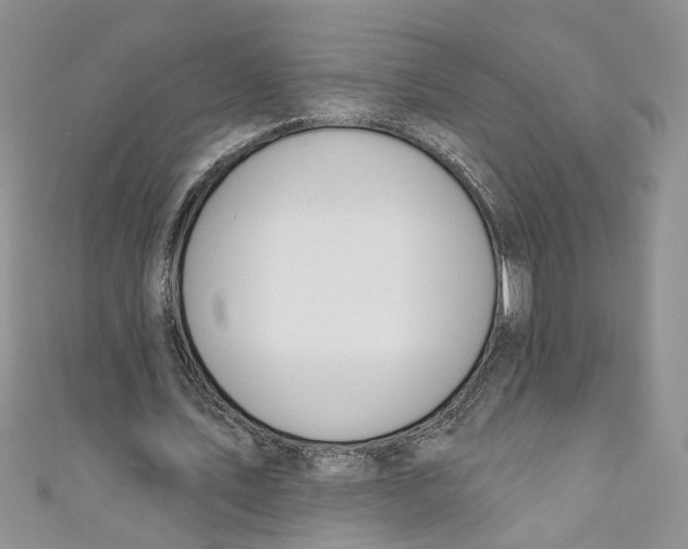 X0000110900579200907091418