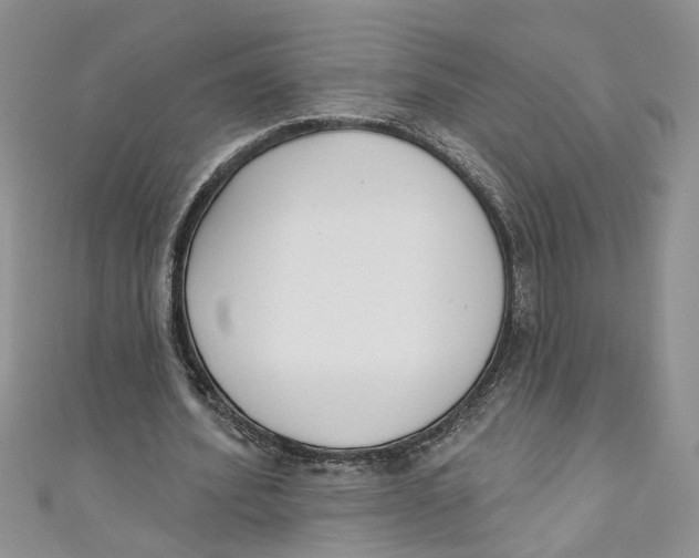 X0000110900580200907091418