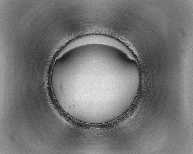 X0000110900581200907091418