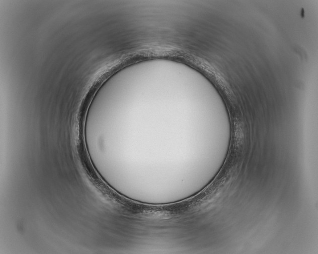 X0000110900582200907091418