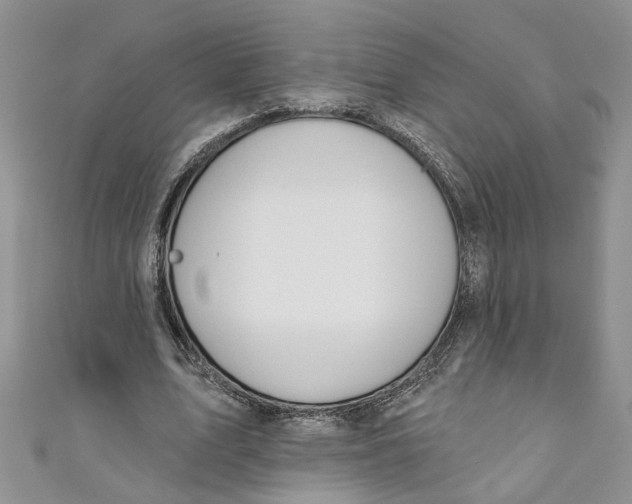 X0000110900583200907091418