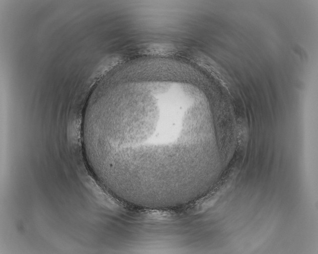 X0000110900585200907091418