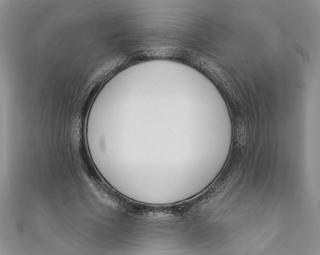 X0000110900586200907091417