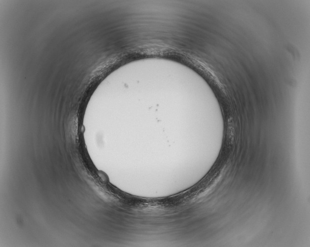 X0000110900589200907091417